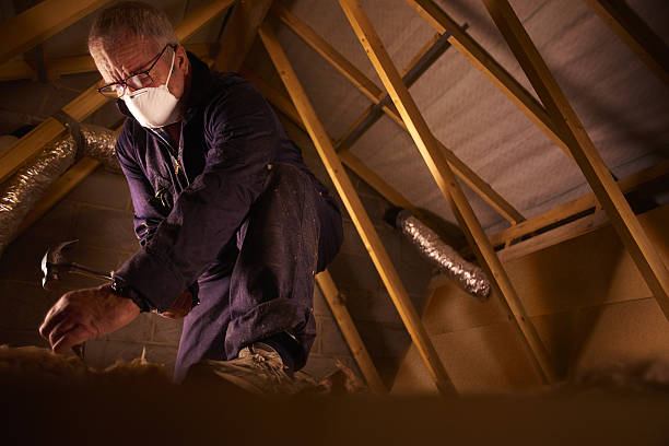 Types of Insulation We Offer in Covington, TN