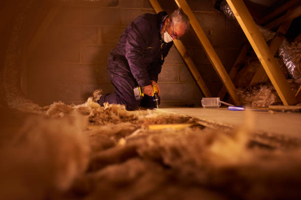 Best Insulation Maintenance and Repair in Covington, TN